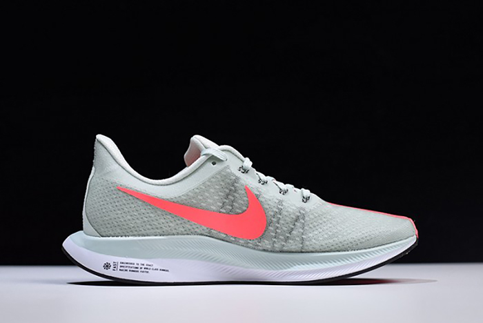 Zoom Pegasus Turbo